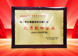 喜讯丨DB真人旗舰 DB数据获评2024~2025年度武汉市软件行业&ldquo;优秀企业&rdquo;、&ldquo;优秀工作者&rdquo;荣誉称号！